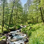 Apartamento Joli Vue Montagne *