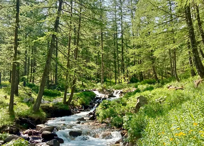 Апартаменты Joli Vue Montagne *