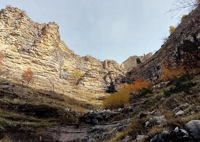 Апартаменты Joli Vue Montagne